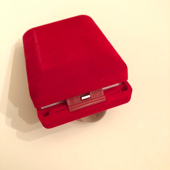 Rare Himalayan Agate Silver Earrings - Picture 13 of 13